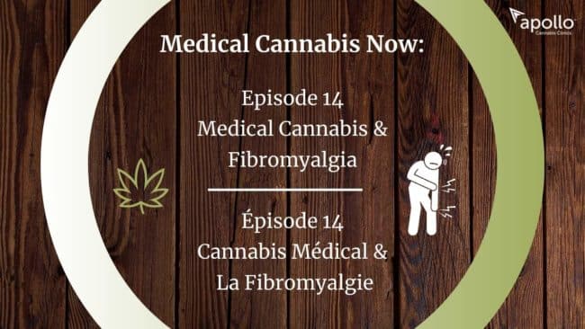 Medical Cannabis & Fibromyalgia