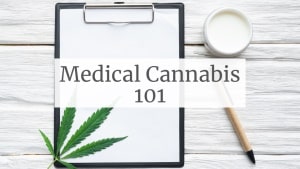 apollo-cannabis-blog-educational-medical-cannabis-101-category-header