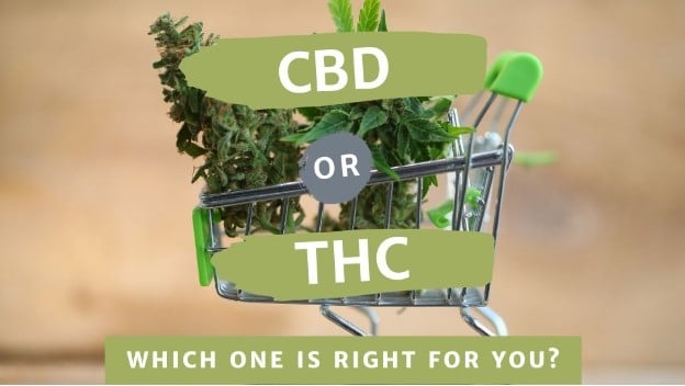 cbd-or-thc-which