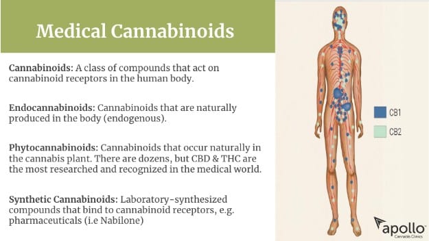 medical-cannabinoids-img