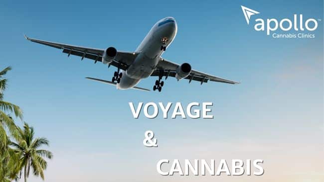 Voyage & Cannabis