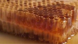 CBD Infused Honey Sticks